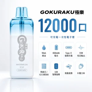 GOKURAKU 極樂 一次性電子煙（12000口）